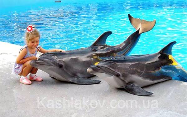 Отдых в Крыму с детьми - у дельфинов