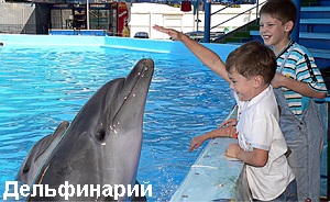 Дельфинарии в Крыму